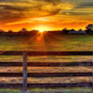 Meet your Posher, Abigail